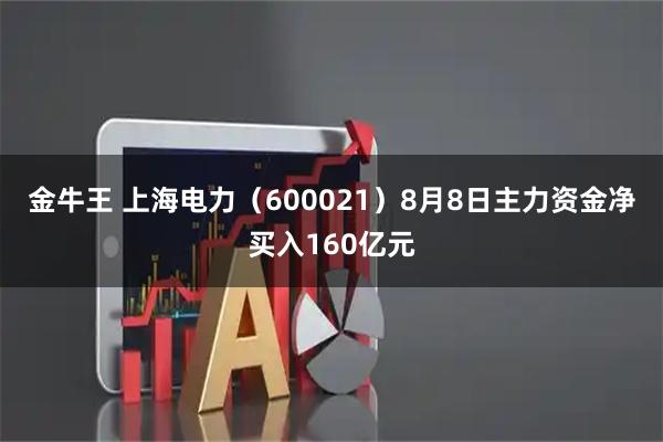 金牛王 上海电力（600021）8月8日主力资金净买入160亿元
