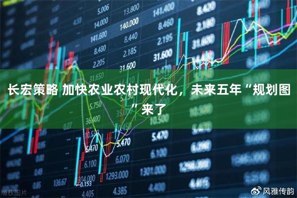 长宏策略 加快农业农村现代化，未来五年“规划图”来了